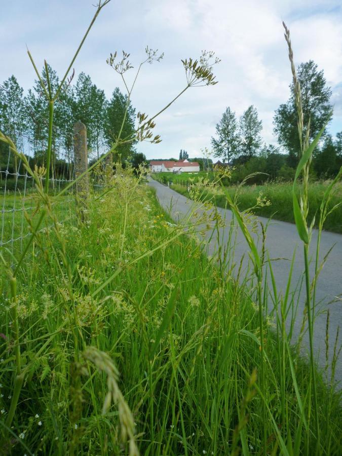 Het Verblijf Sint-Martens-Lennik Exteriér fotografie