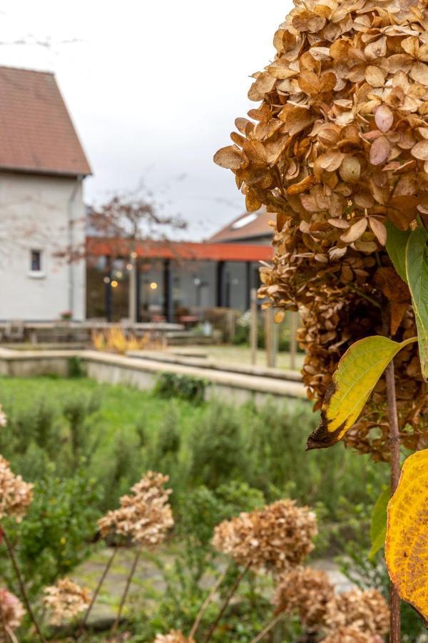 Het Verblijf Sint-Martens-Lennik Exteriér fotografie