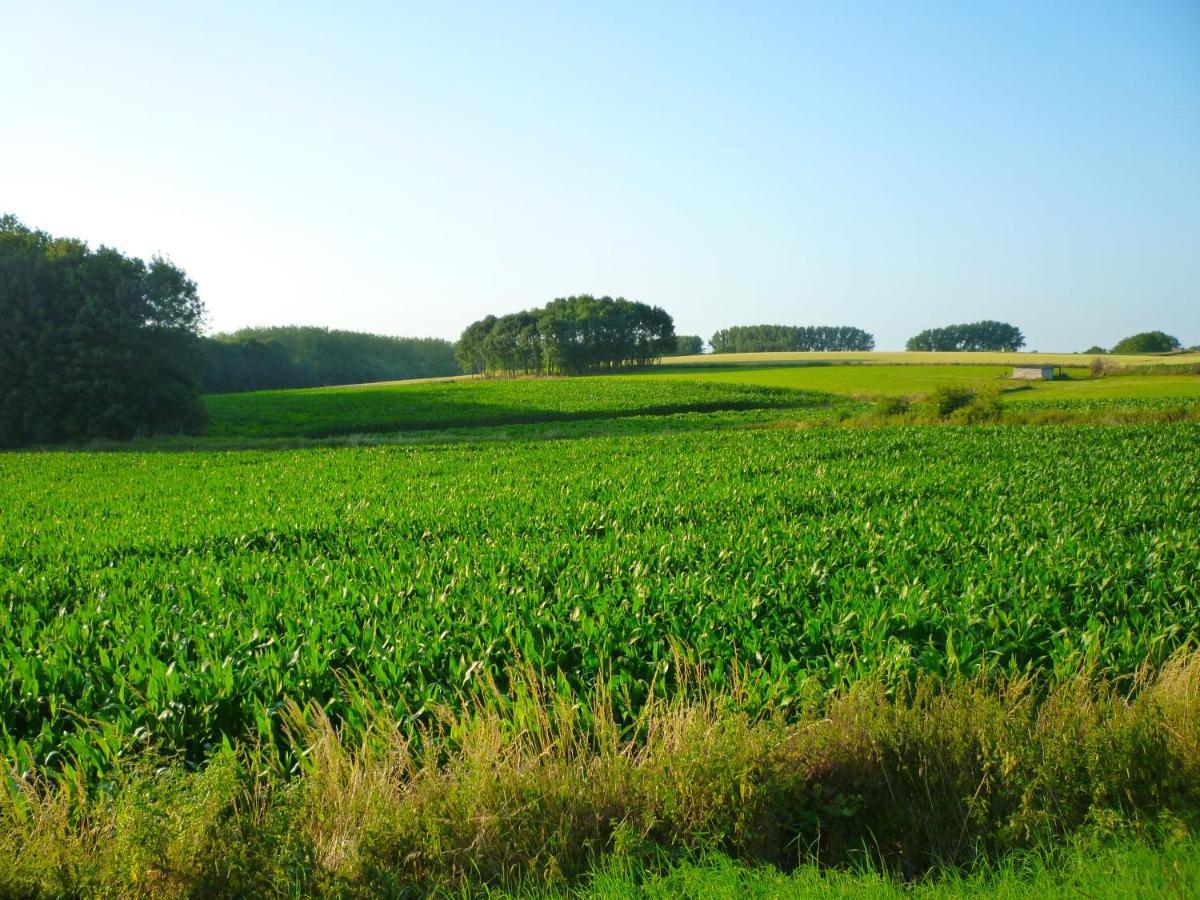 Het Verblijf Sint-Martens-Lennik Exteriér fotografie